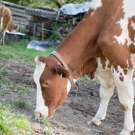 Bio-Bauernhof Einberghof Leilighet Pfarrwerfen Eksteriør bilde