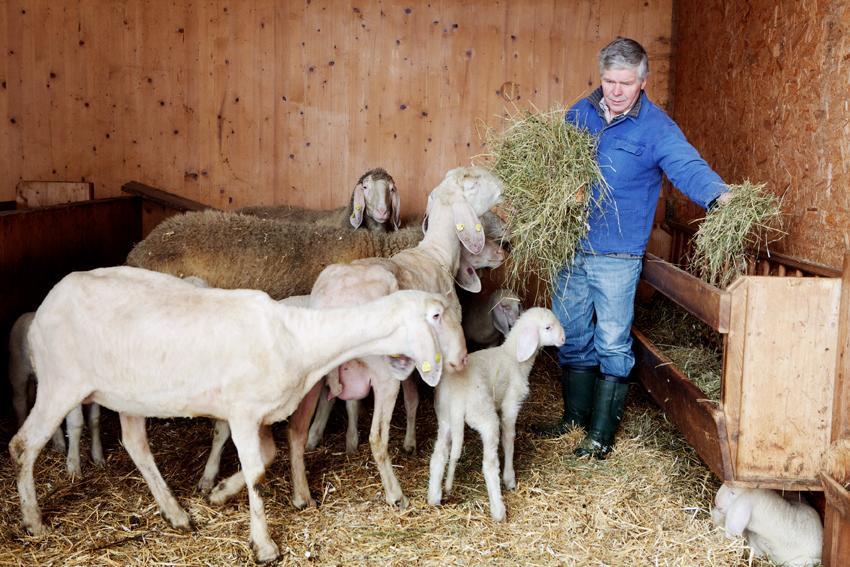 Bio-Bauernhof Einberghof Leilighet Pfarrwerfen Eksteriør bilde
